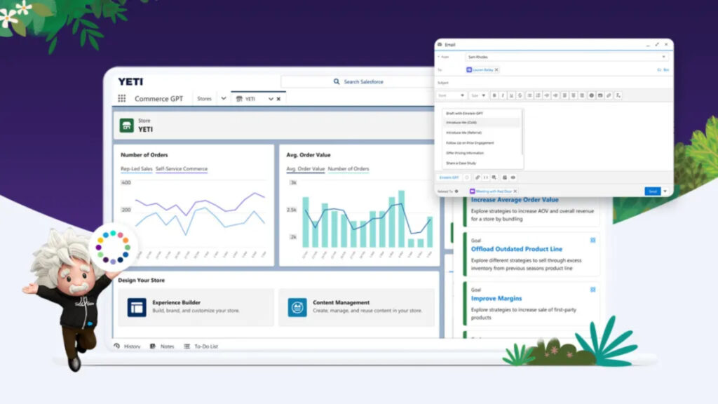 Salesforce’s dashboard for ecommerce stores.